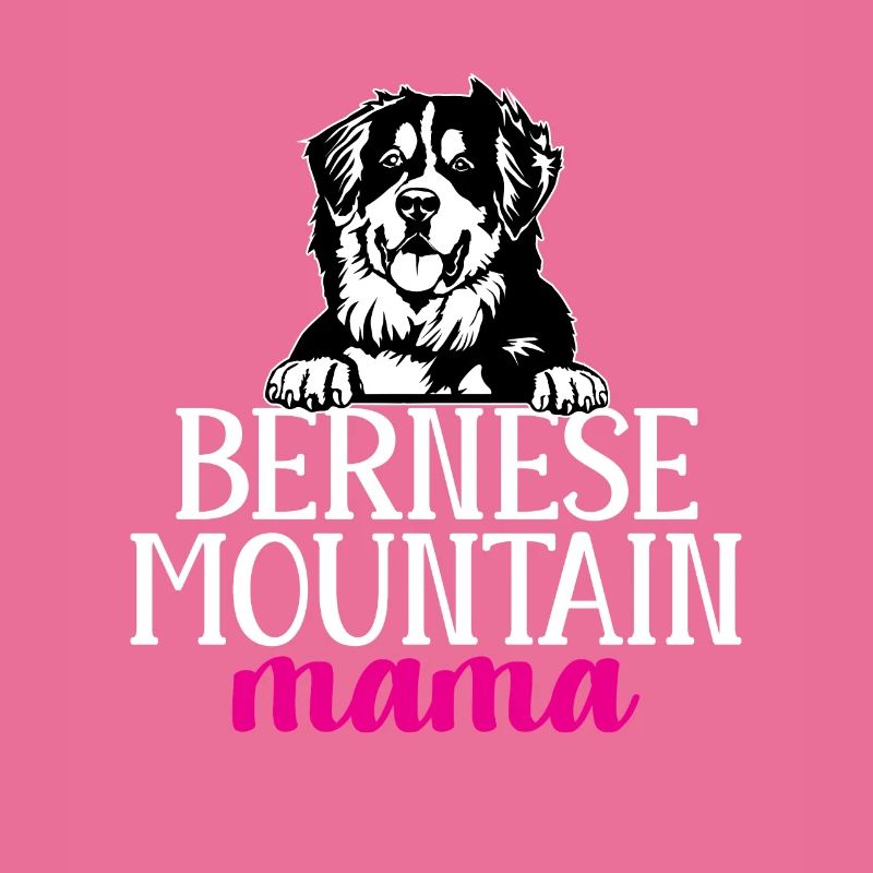 Bouvier bernois