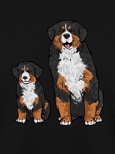 Berner Sennenhund