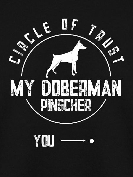 Dobermann Pinscher Hund Dobie