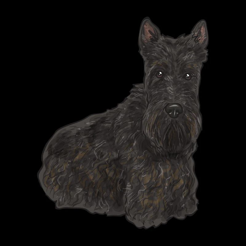 Scottish Terrier Scottie Hund