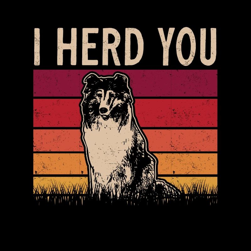 Langhaarcollie Rough Collie Hund