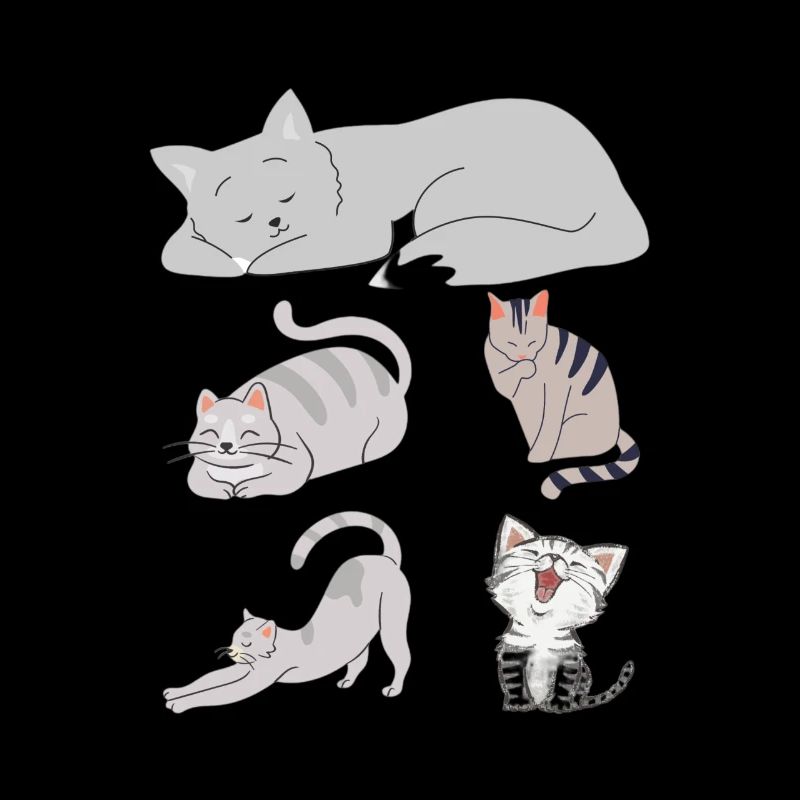 Chat mignon chat chaton miaw