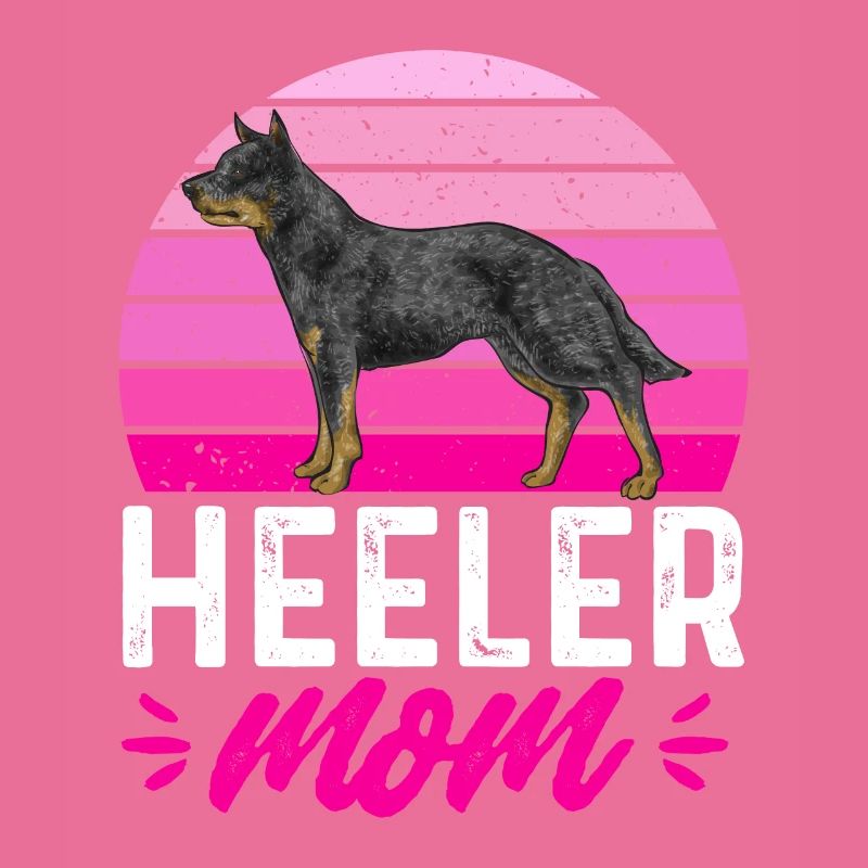 Bouvier australien Red Blue Heeler
