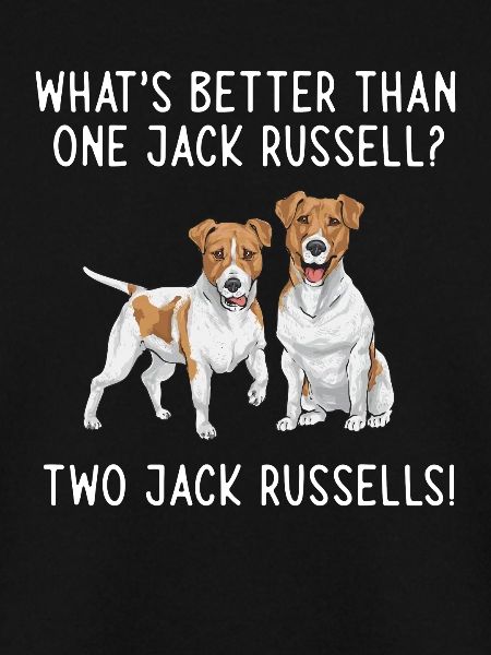 Jack Russell Terrier