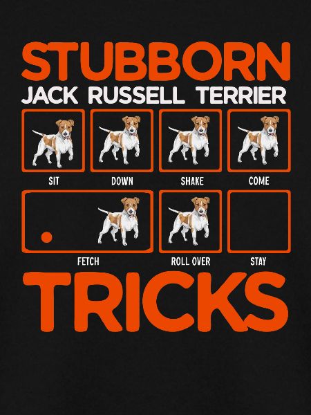 Jack Russell Terrier