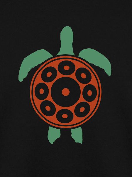 Handpan Turtle Handpan spielen