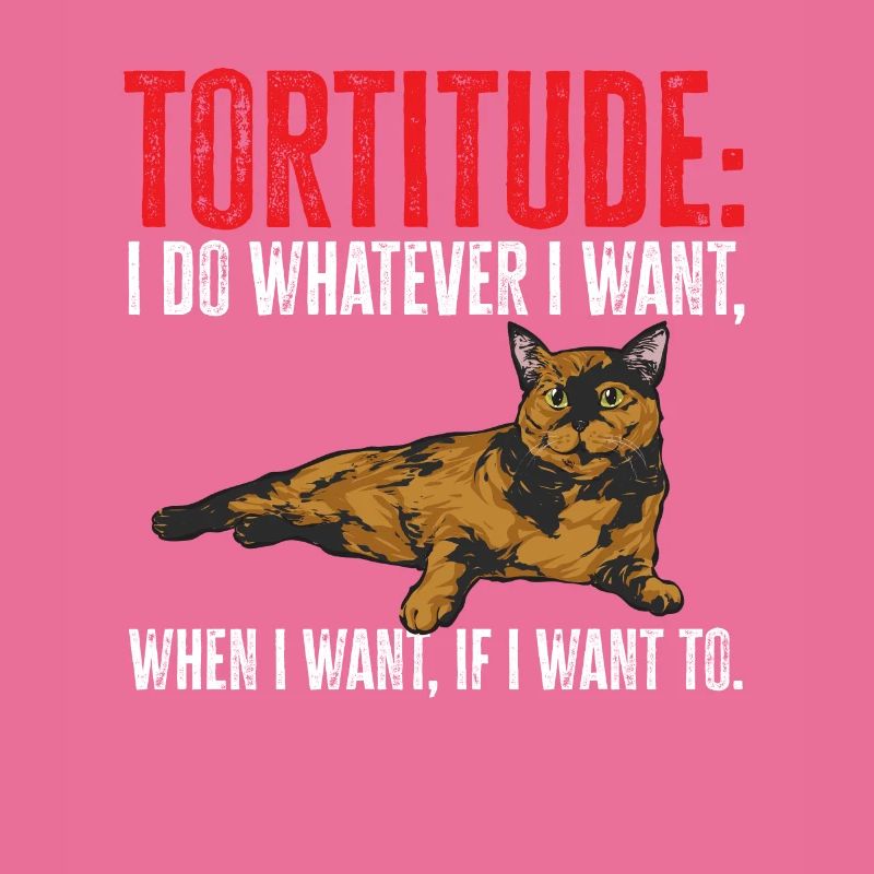 Tortoise Shell Cat Tortoiseshell Cat Tortie