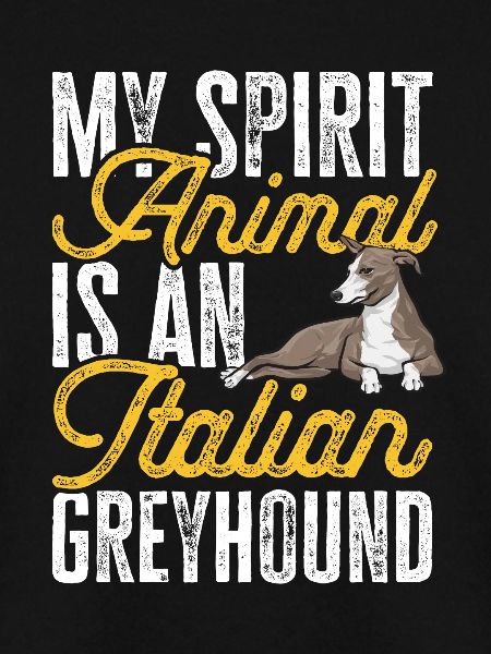 Italienischer Windspiel Windhund Hunde