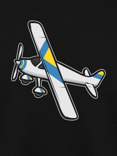 Modèle d’avion télécommandé