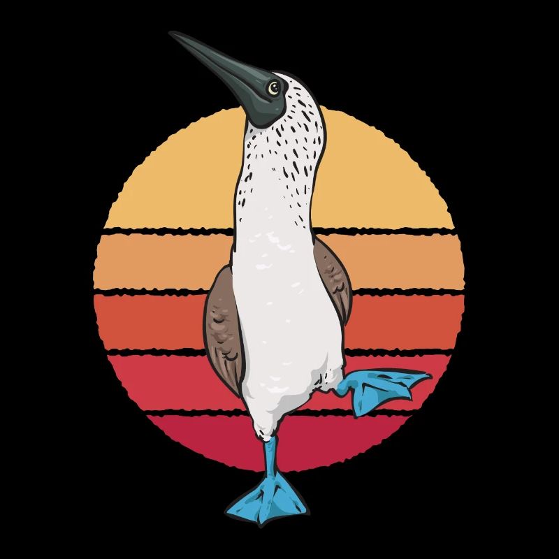 Blaufußtölpel Blue-footed Booby Seevogel