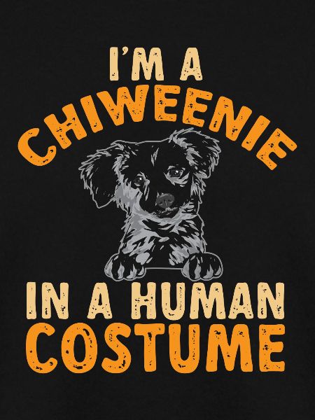 Chiweenie Chien