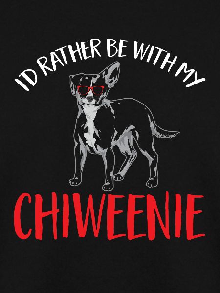 Chiweenie Chien