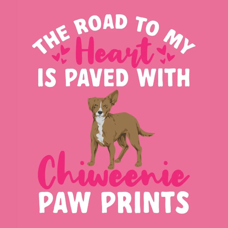 Chiweenie Dog