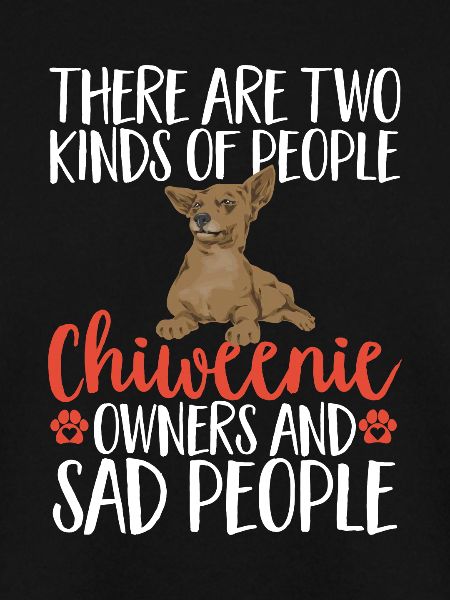 Chiweenie Chien