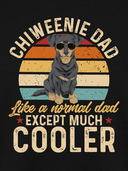 Chiweenie Chien