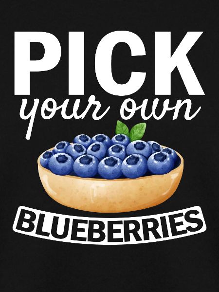 Heidelbeere Frucht Blaubeere
