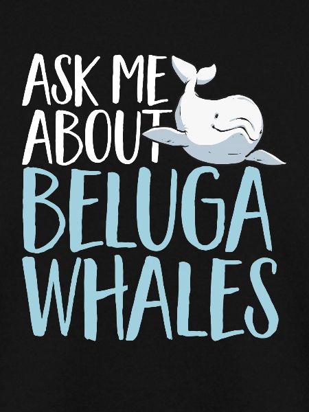 Weißwal Beluga Wal