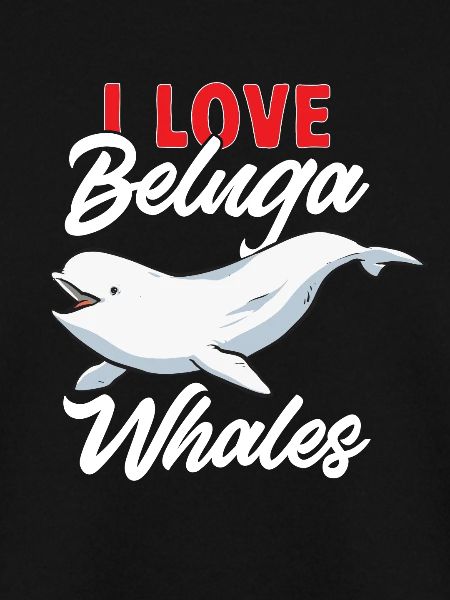 White Whale Beluga Whale