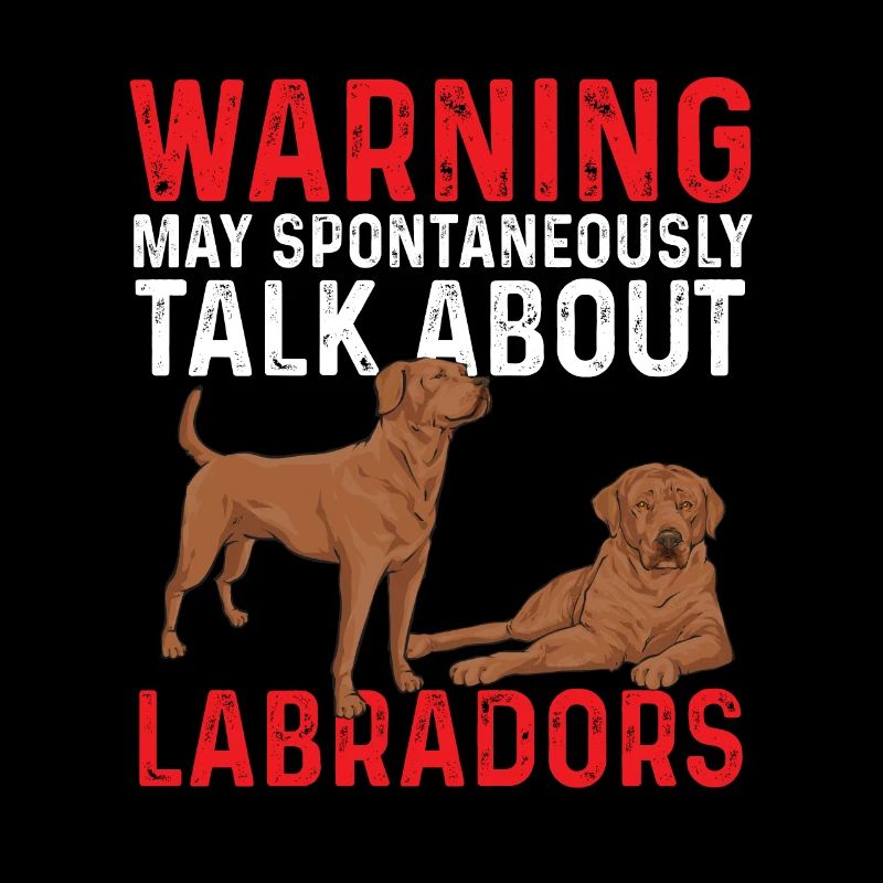 Foxred Labrador Fuchsroter Labrador Retriever