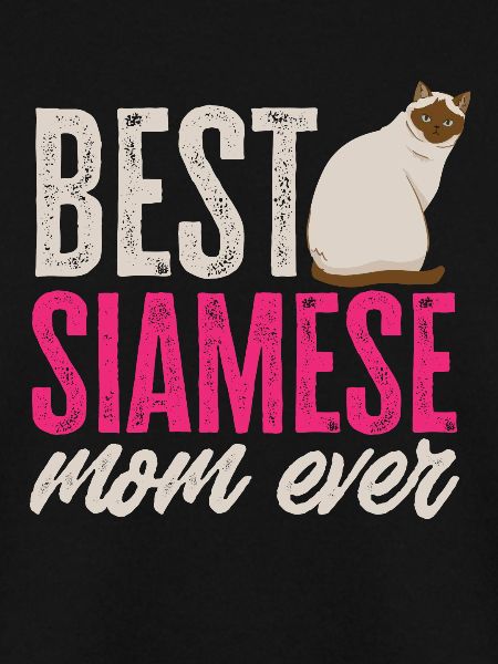 Siamkatze