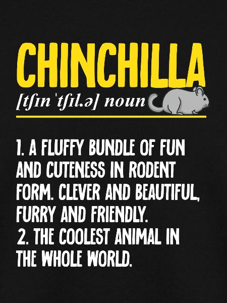 Chinchilla