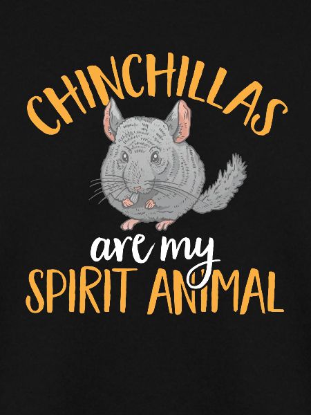 Chinchilla