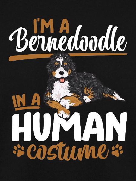 Bernedoodle Dog