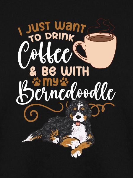 Bernedoodle Hund