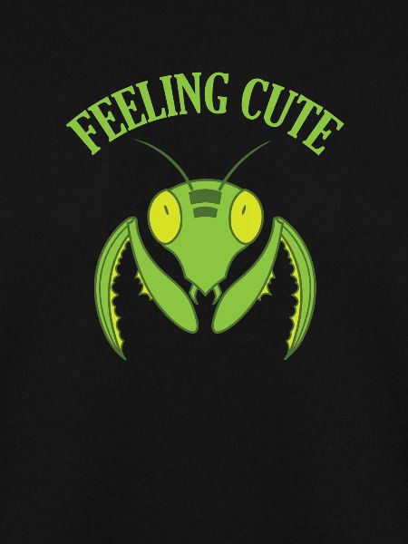 Feeling Cute Mantis