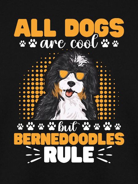 Bernedoodle Hund