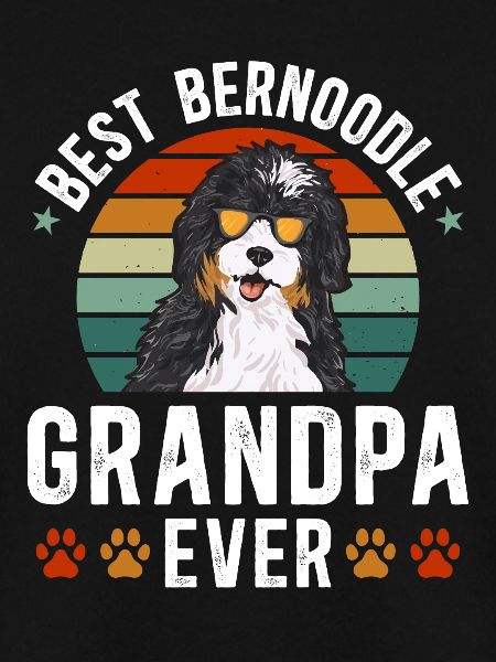 Bernedoodle Dog