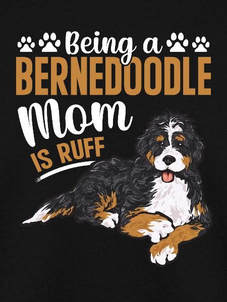 Bernedoodle Dog