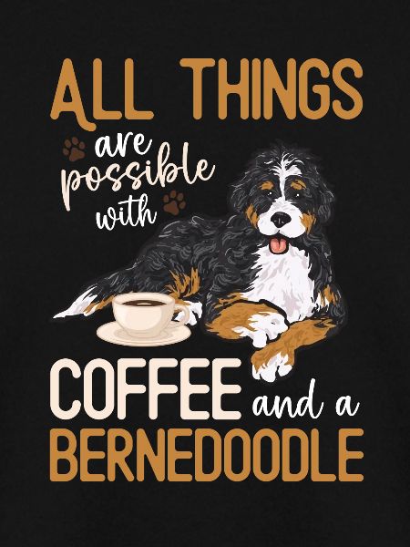 Bernedoodle Hund