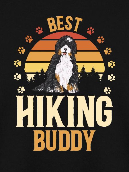 Bernedoodle Dog