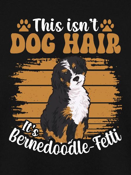 Bernedoodle Hund
