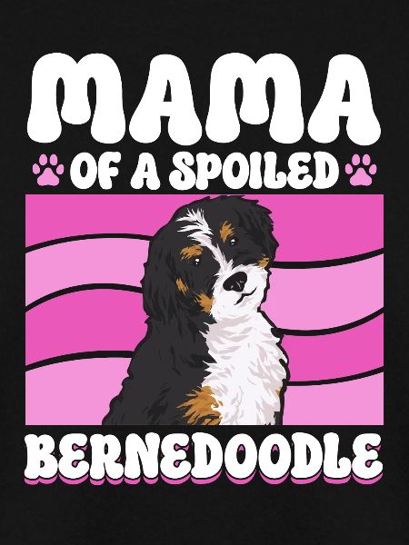 Bernedoodle Hund