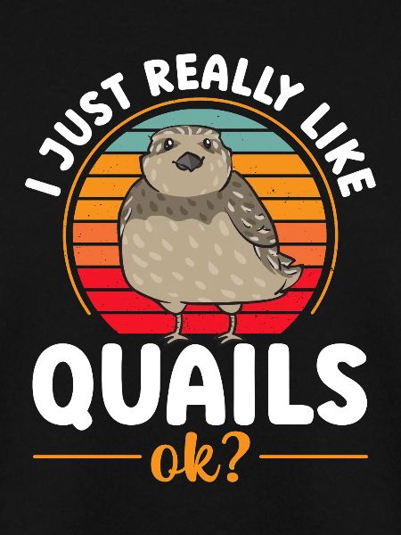 Quail Bird