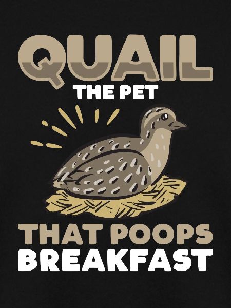 Quail Bird