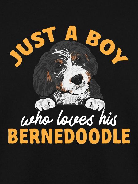 Bernedoodle Hund