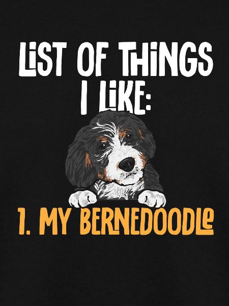 Bernedoodle Dog