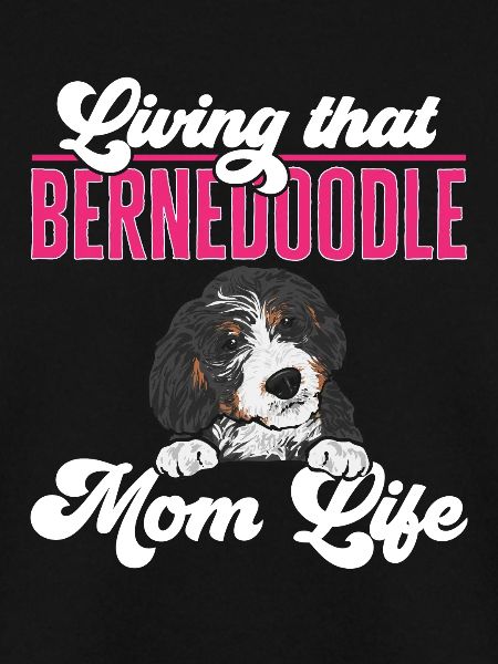 Bernedoodle Hund