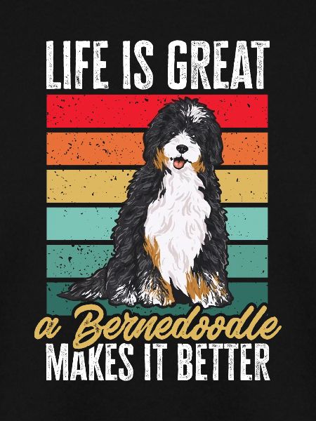 Bernedoodle Hund