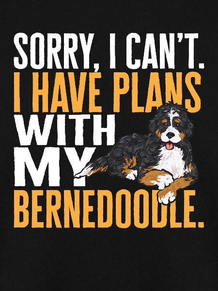 Bernedoodle Hund