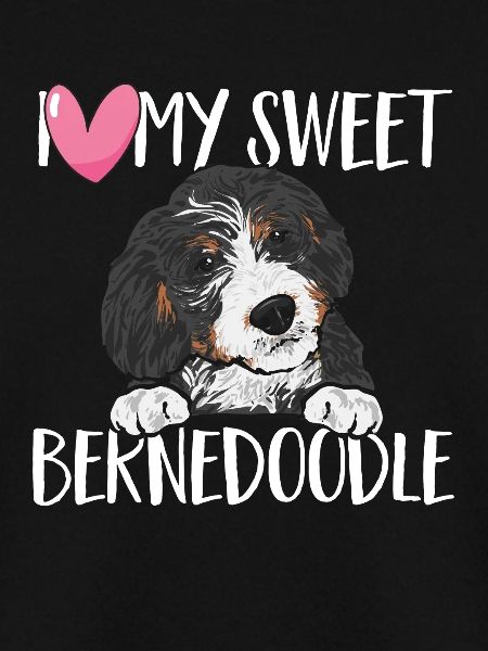 Bernedoodle Hund