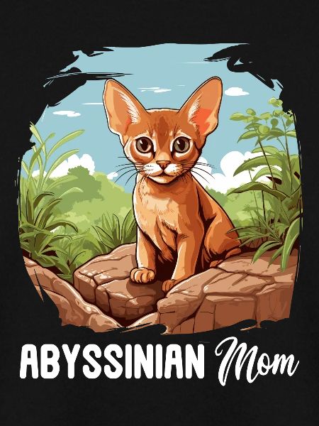 Abyssinian Cat Abessinierkatze