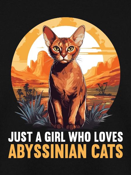 Abyssinian Cat Abessinierkatze