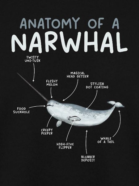 Narwal Einhornwal