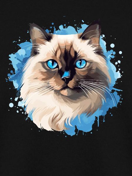 Birman Cat Birma Katze