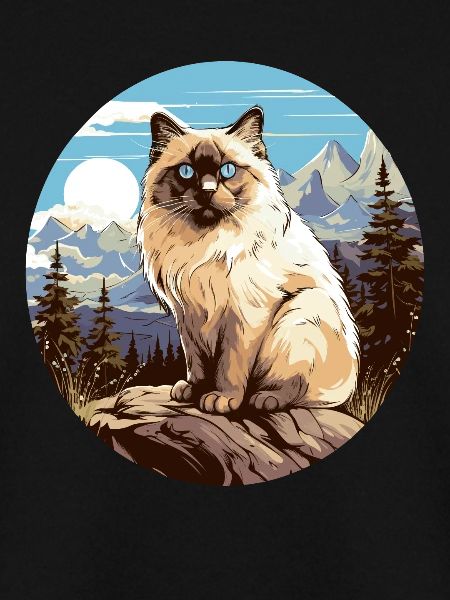 Birman Cat Birma Katze