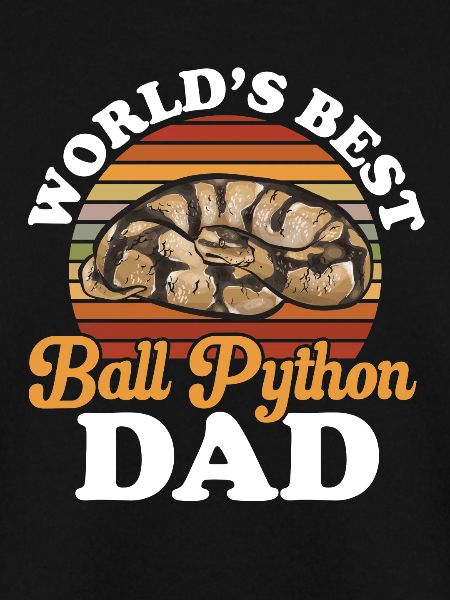 Ball Python Schlange Königspython